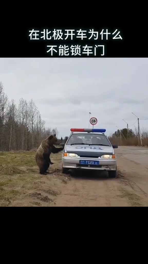 在北极开车为什么不能锁车门