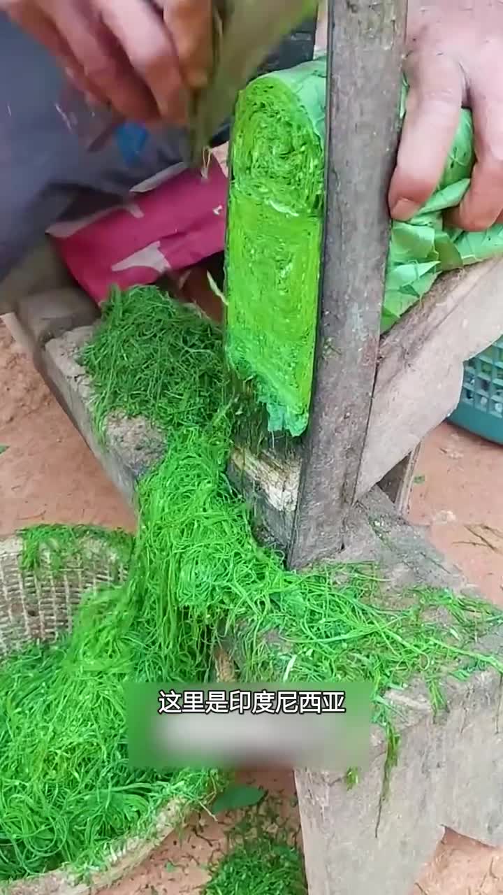 印尼人独特的制烟方法