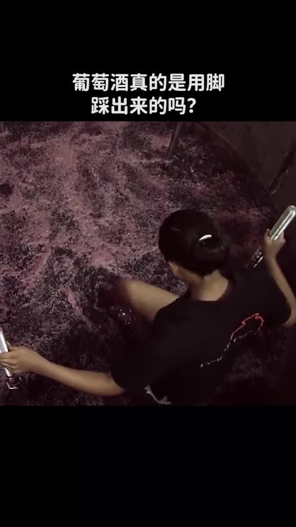 葡萄酒真的是用脚踩出来的吗