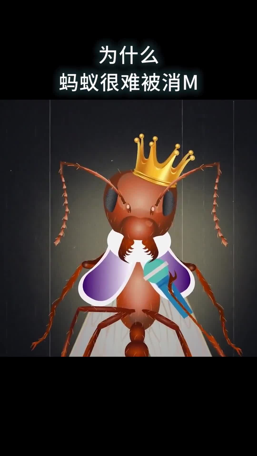 为什么蚂蚁很难被消灭