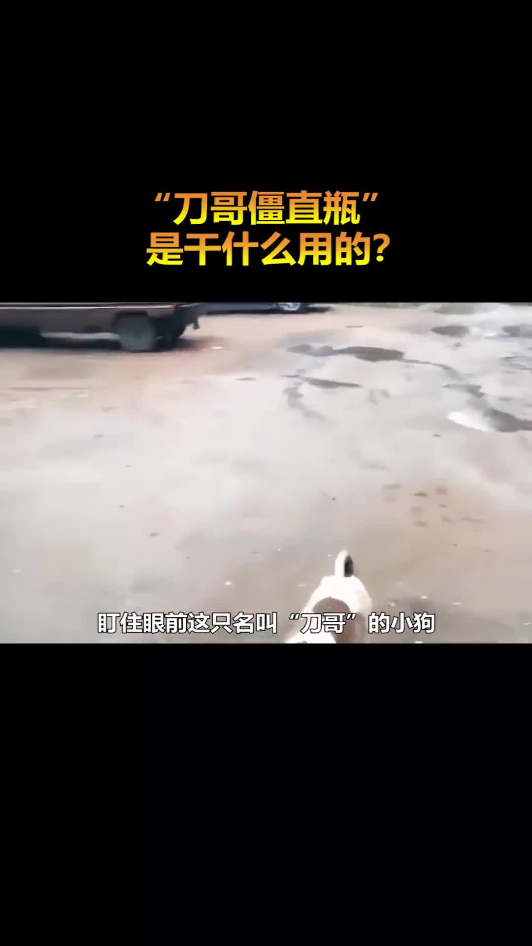 被网友戏称为刀哥僵直瓶到底是什么为什么说爆就爆