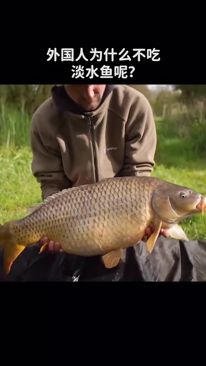 外国人为什么不吃淡水鱼呢