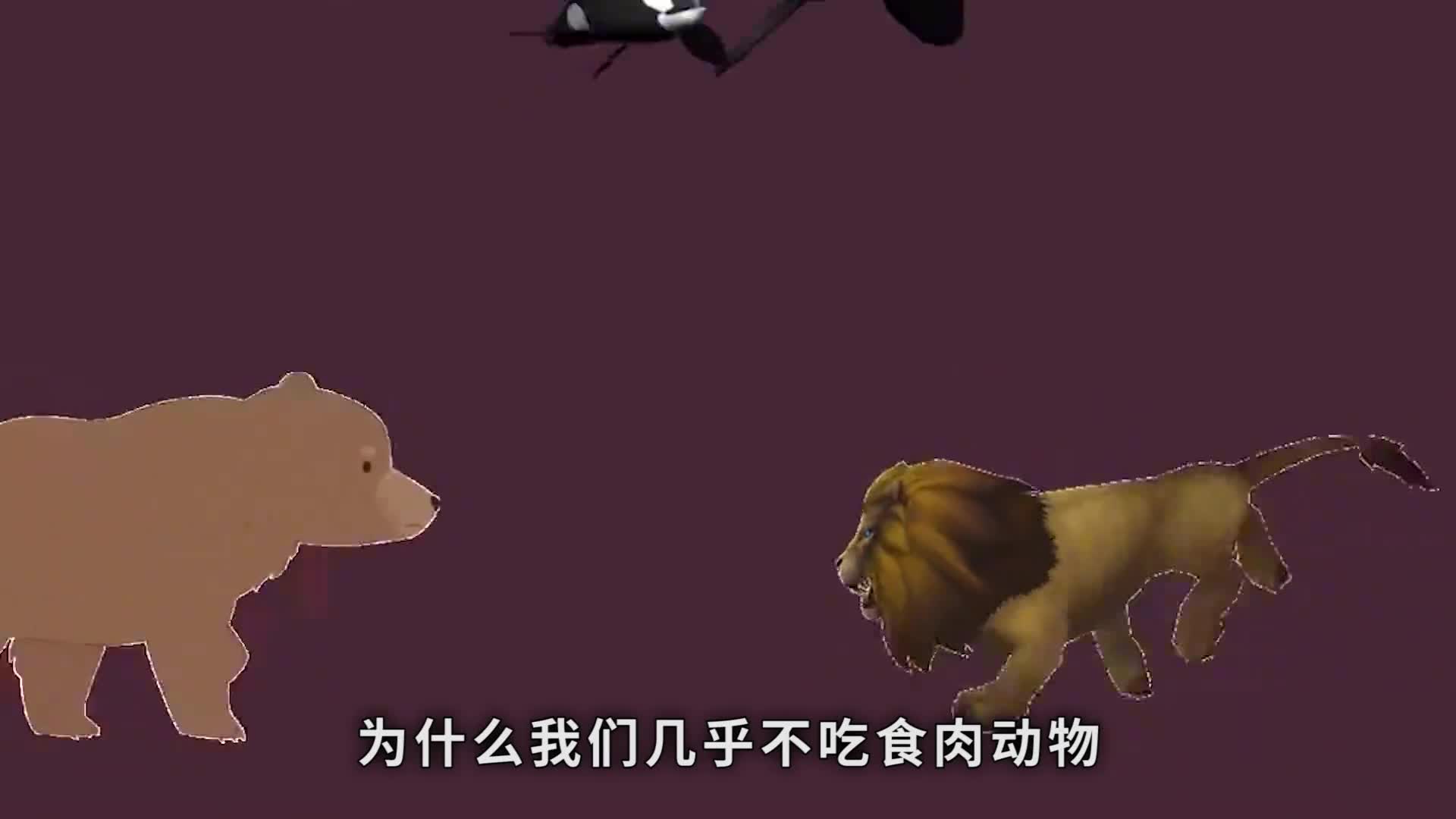 为什么我们几乎不吃食肉动物