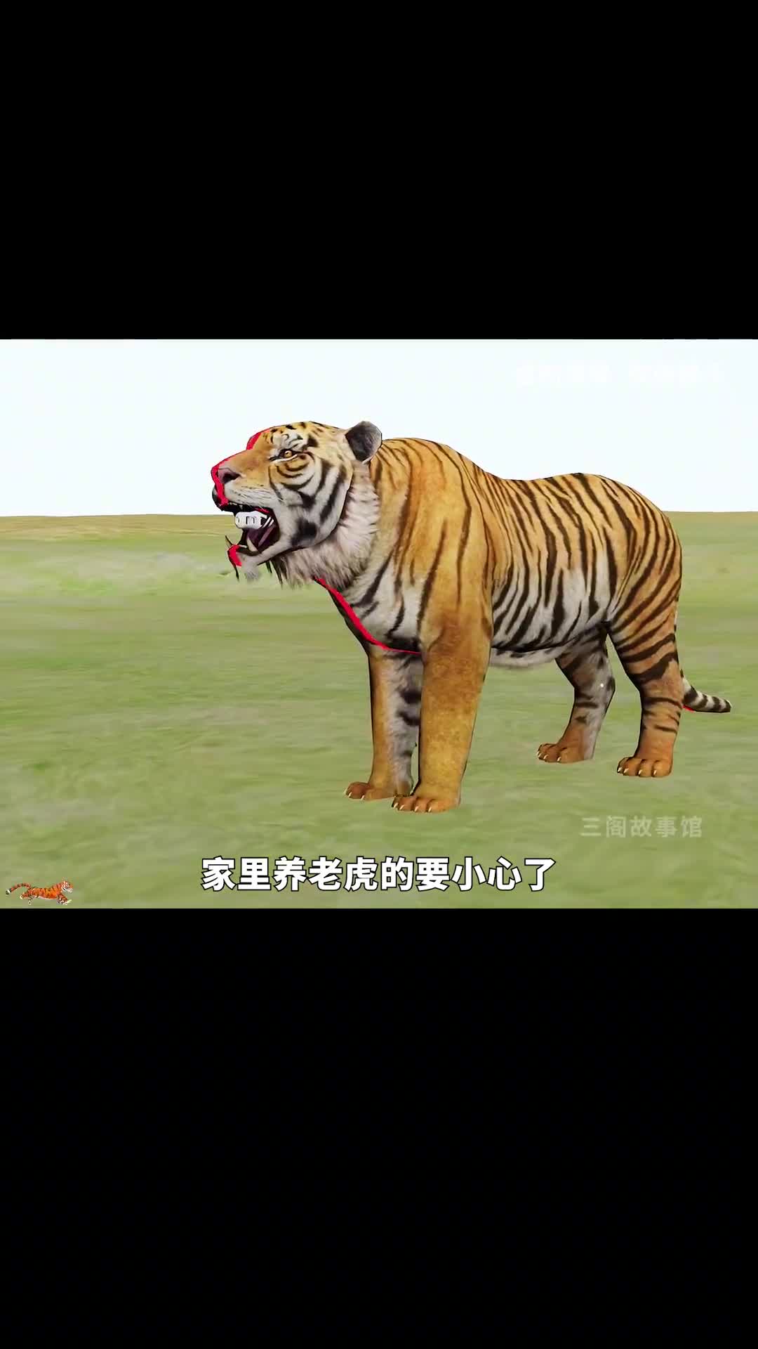 老虎坦克是怎么工作的