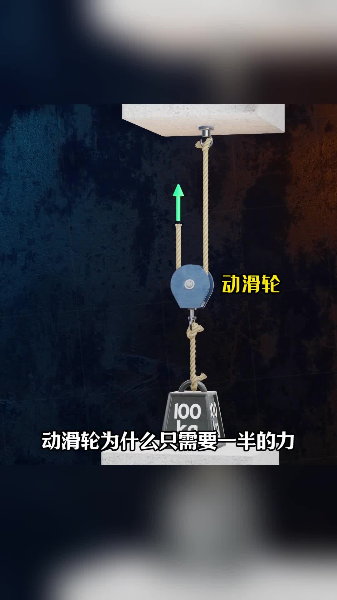 第111集丨动滑轮的工作原理