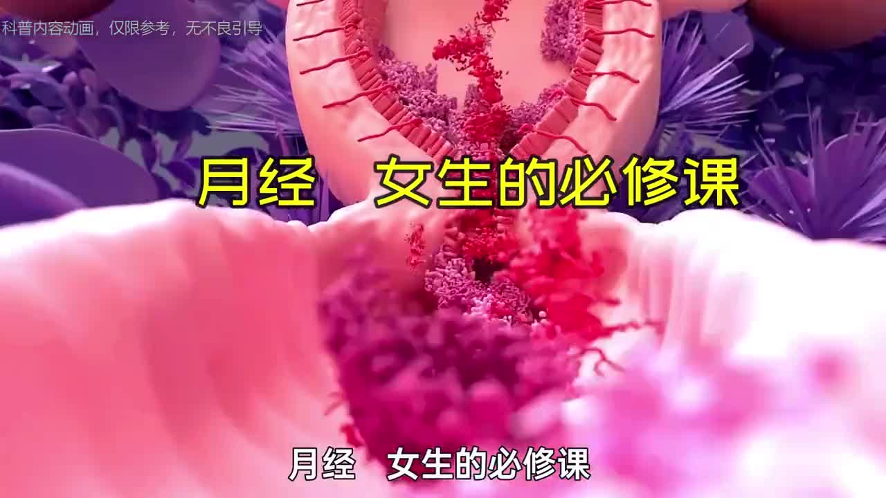月经形成的过程动画演示女生的必修课