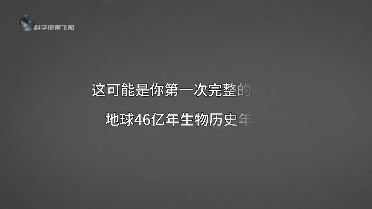 生物历史年表从月球诞生到人类文明献给每一位存在过的生灵感受地球46亿年的奇迹
