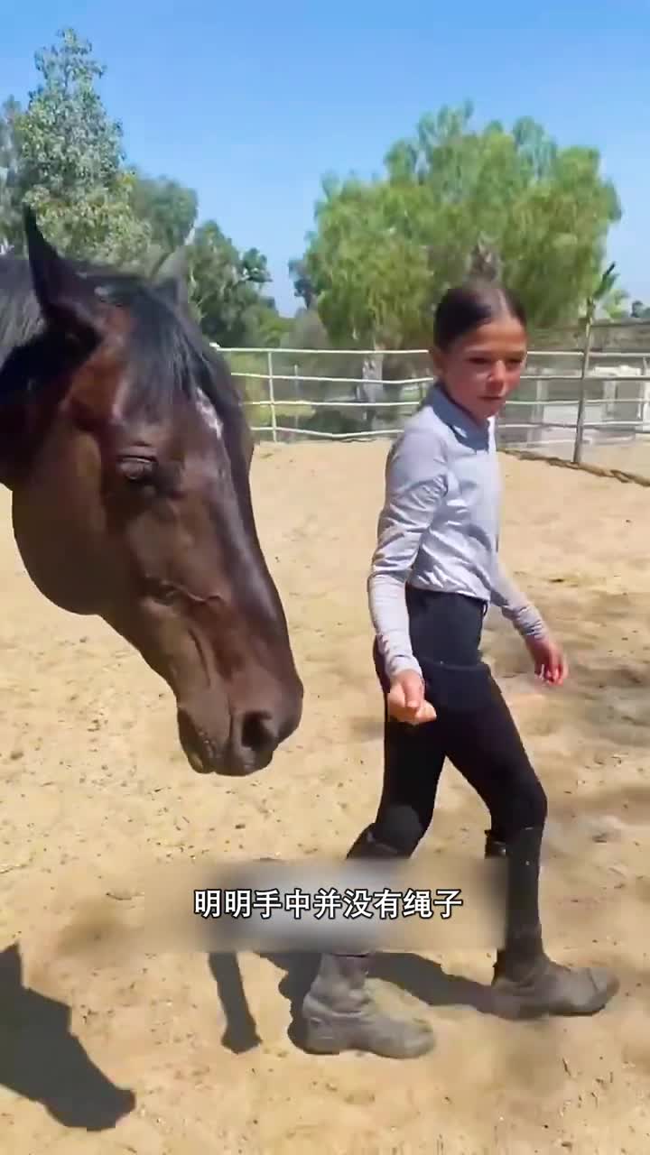 不用缰绳就能牵走马儿