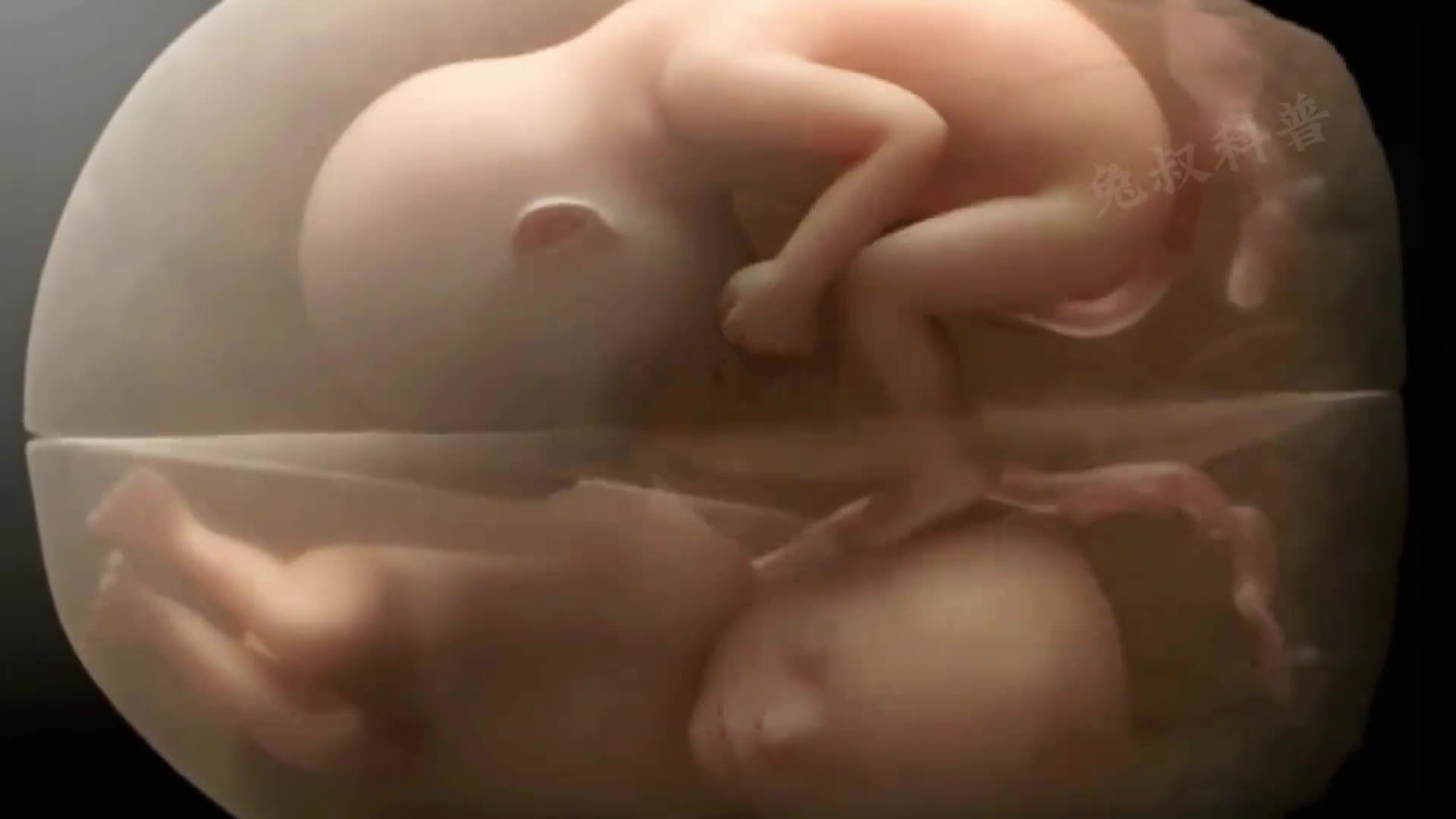 双胞胎宝宝在母亲肚子一天都在做什么会不会一言不合就干架呢