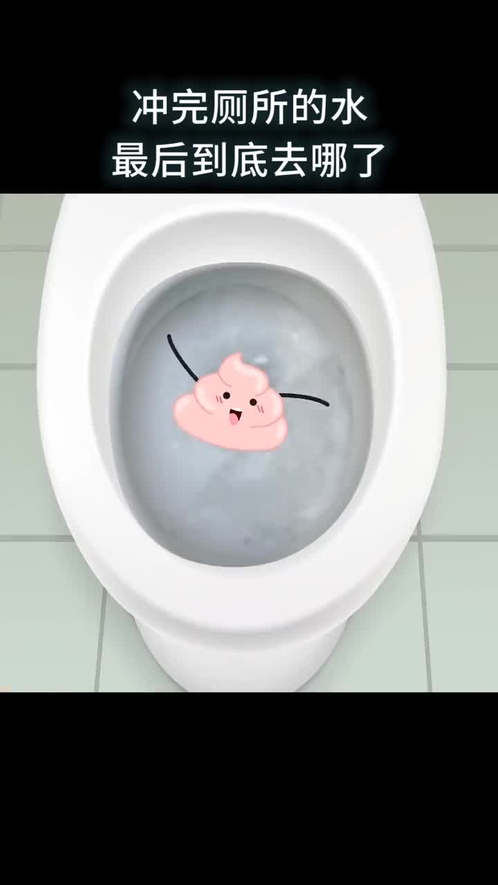 冲完厕所的水最后到底去哪了