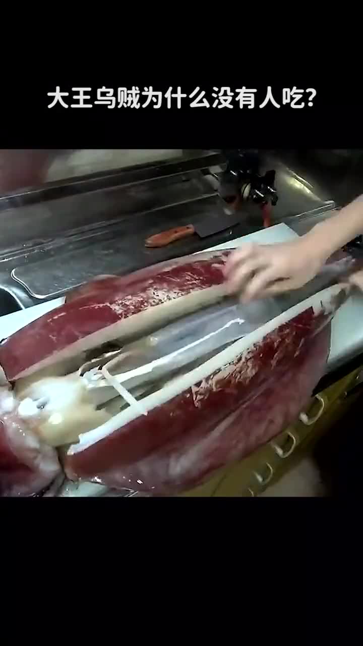 大王乌贼为什么没有人吃