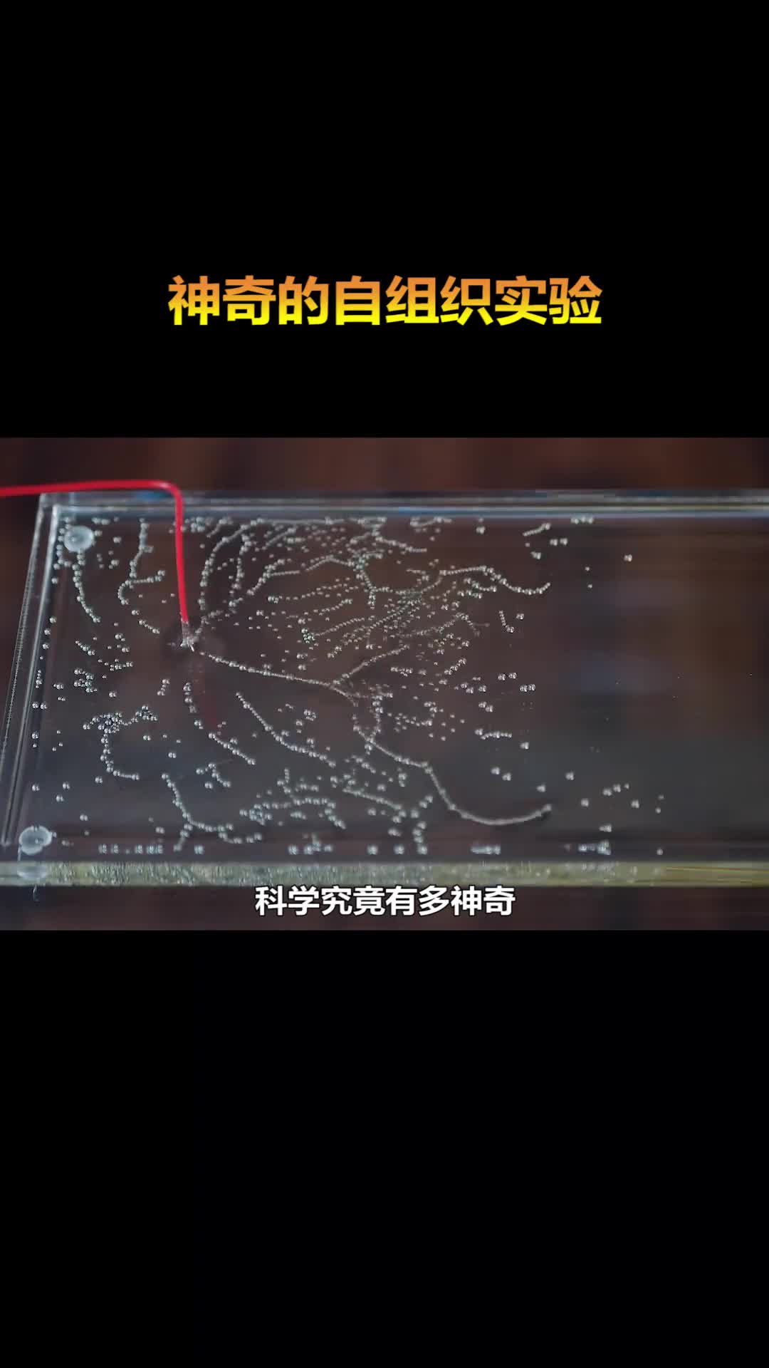 问题来了是电给予了钢珠生命还是钢珠给了电一个实体