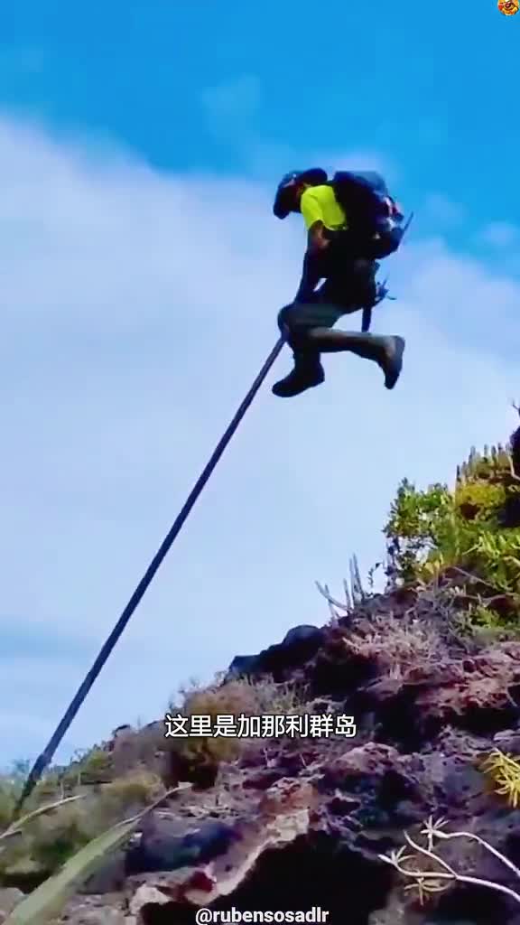 加那利人快要失传的技能牧羊人跳