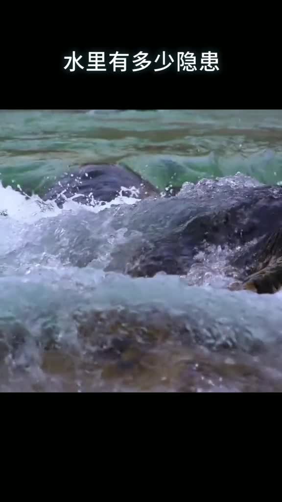 原来不干净的水隐患这么多净水器我只信赖