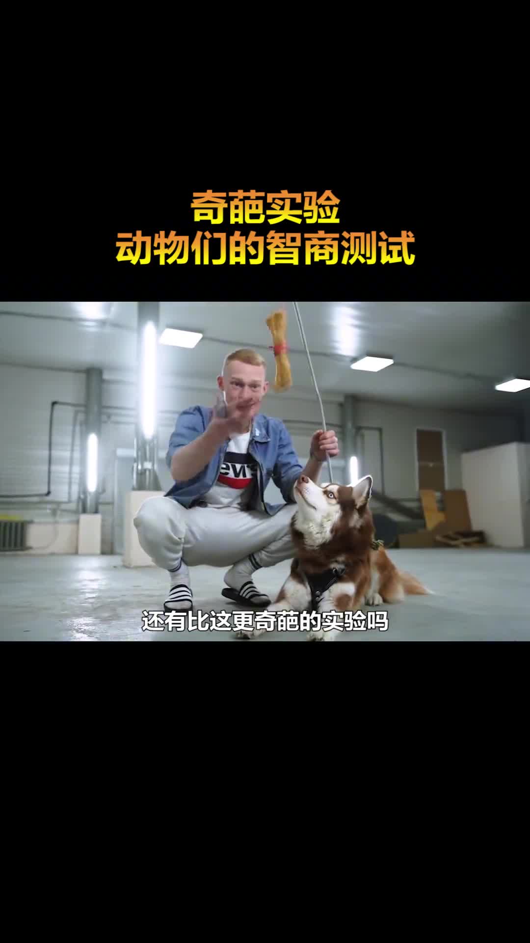 国外奇葩实验动物们的头脑风暴