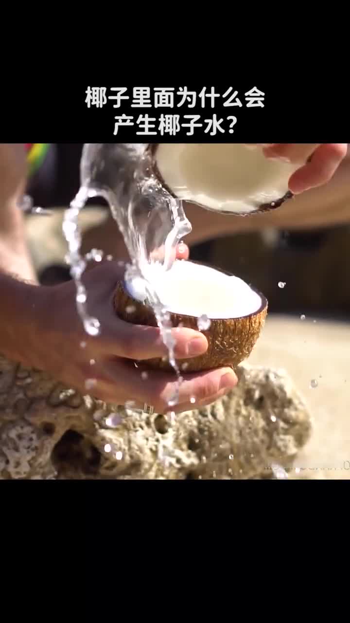 椰子里面为什么会产生椰子水