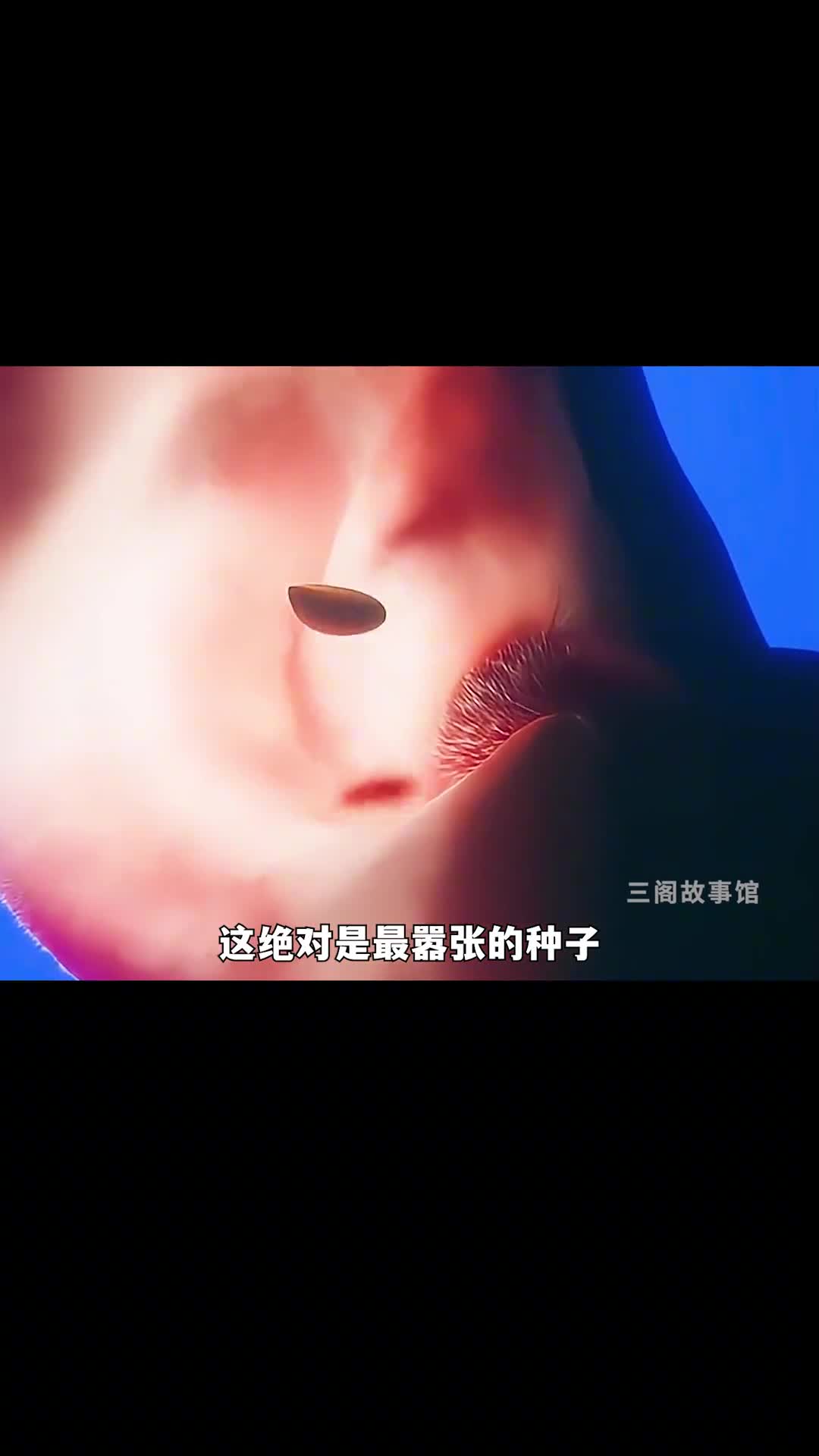 你吃下去西瓜籽会在胃里重新长出西瓜吗