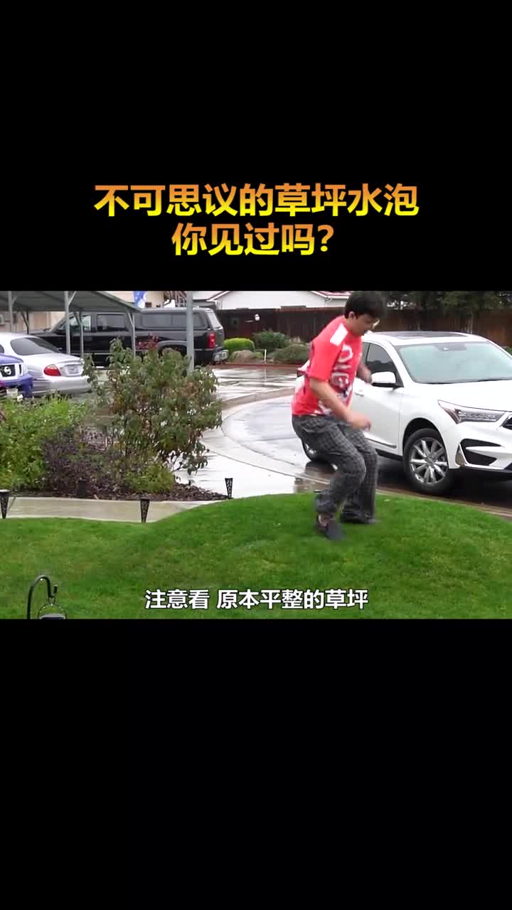 原本平坦的草坪突然长出来个水泡这是怎么回事呢