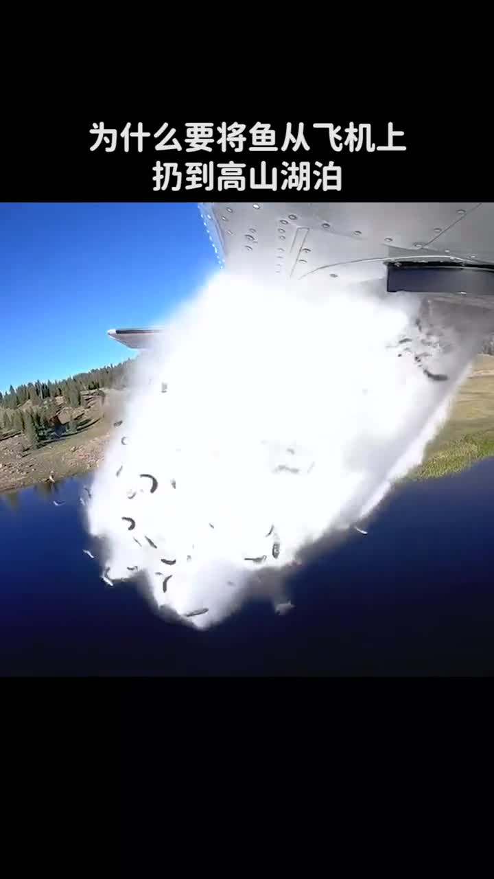 为什么要将鱼从飞机上扔到高山湖泊