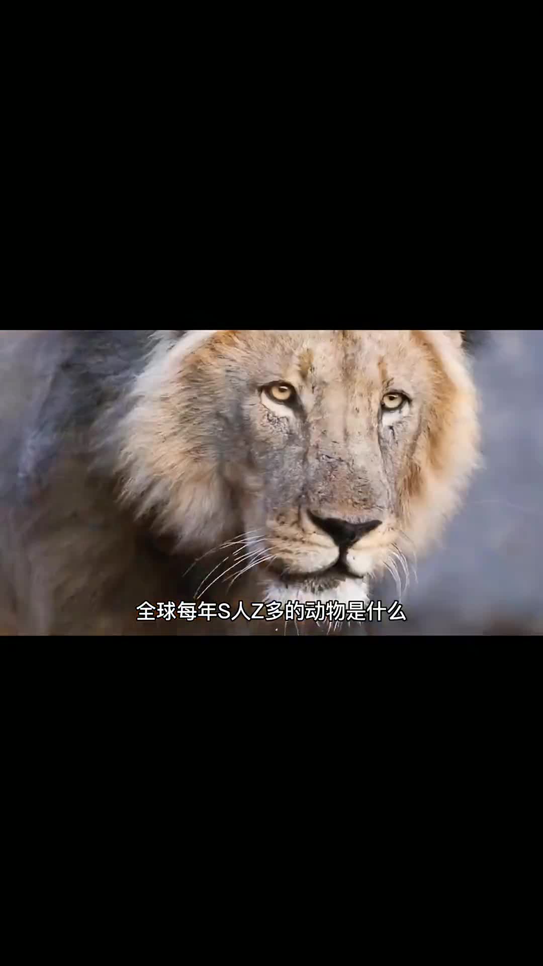 全球每年S人最多的动物是什么你都见过哪几种