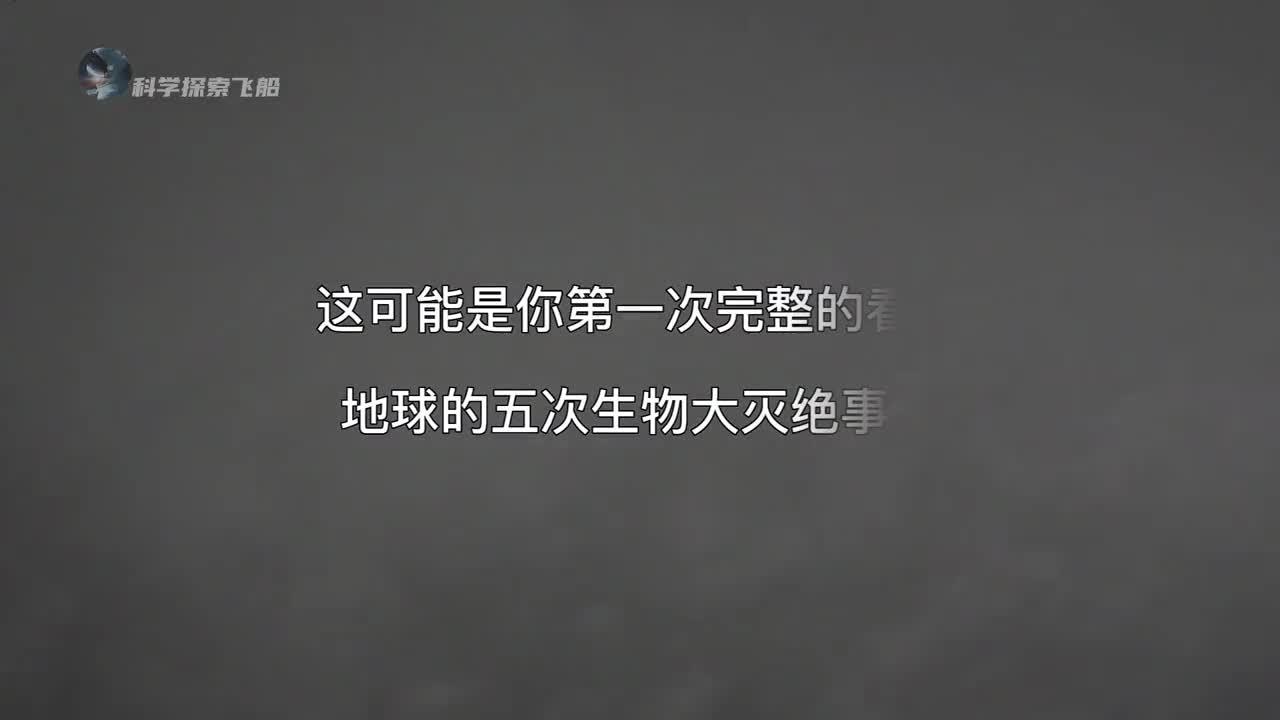 生物历史年表从月球诞生到恐龙灭绝献给每一位存在过的生灵