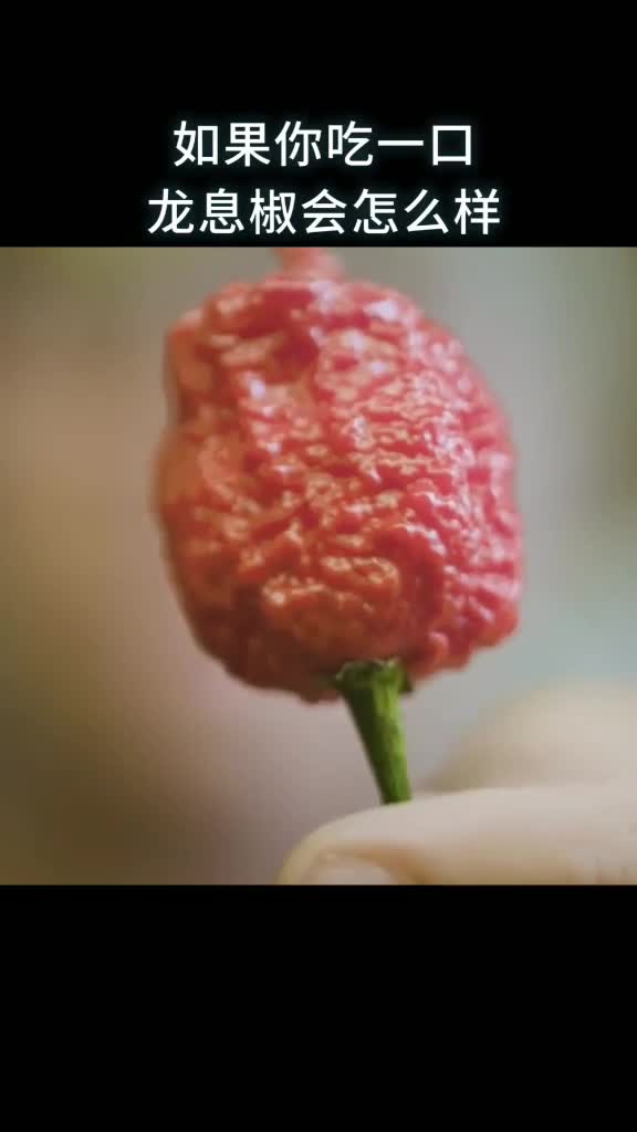 如果你吃一口龙息椒会怎么样