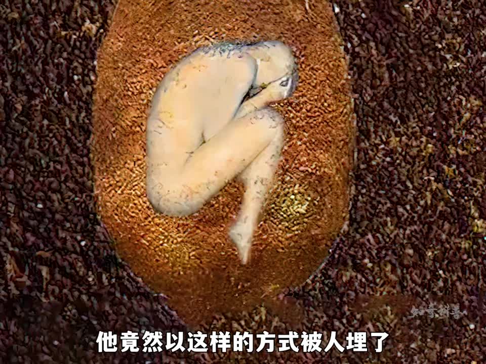 你愿意以这种方式让生命延续吗