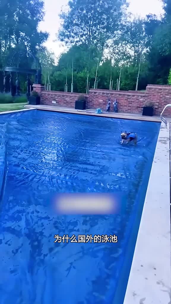 国外游泳池如何做到二次使用
