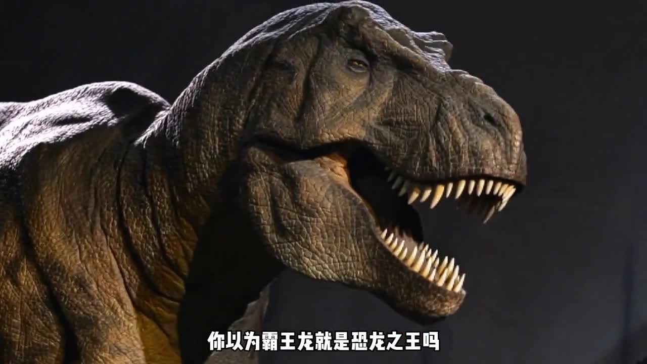 远古最大的食肉恐龙霸王龙竟然排在末尾