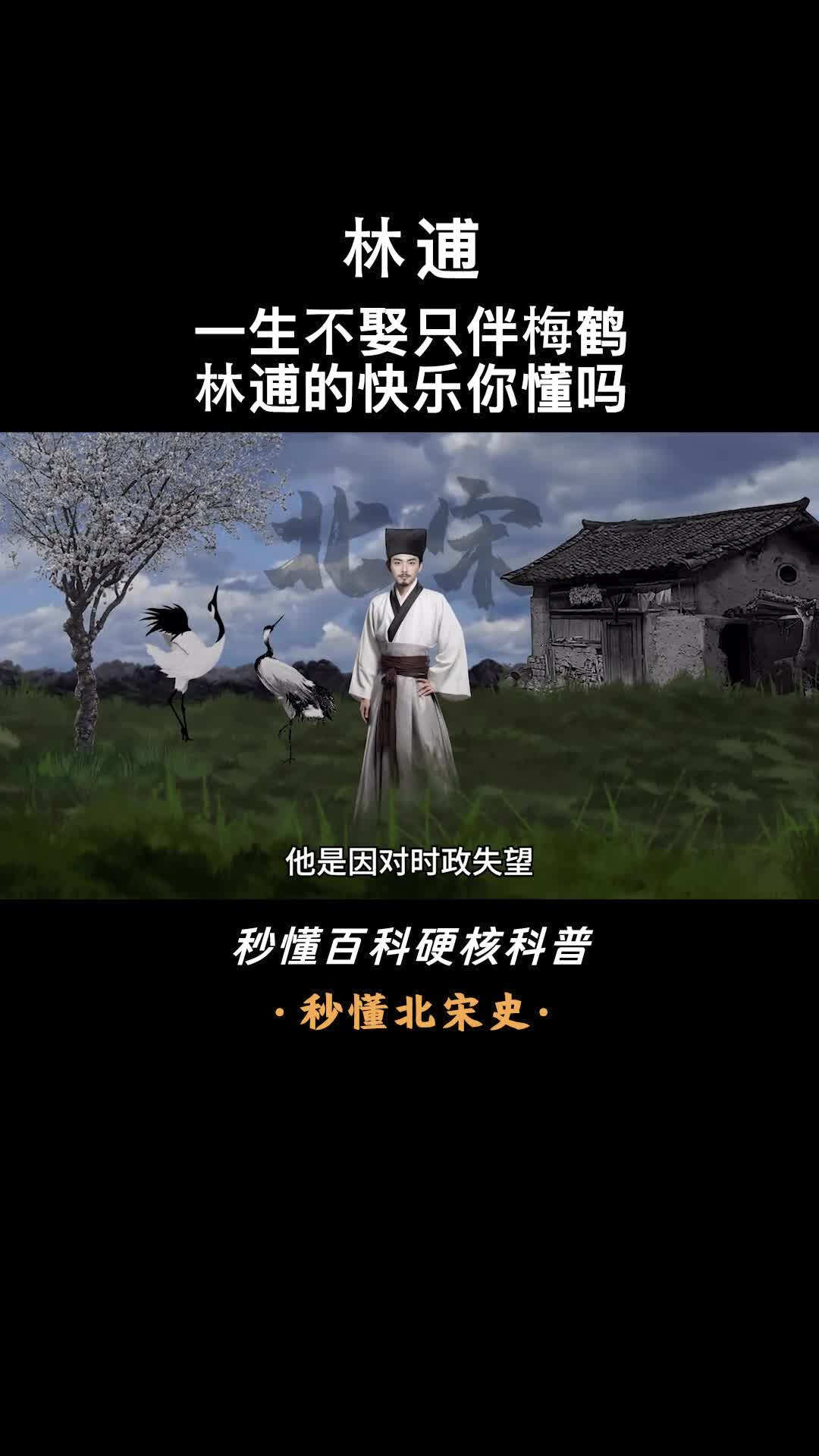 一口气看完林逋隐世高才诗韵梅香