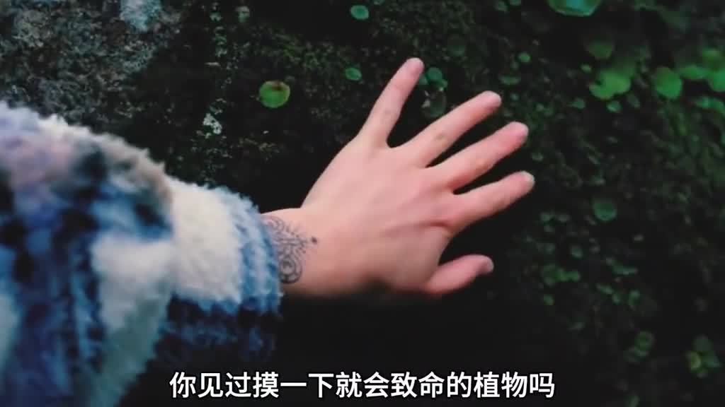 世界上毒性最强的植物每一个都让人毛骨悚然