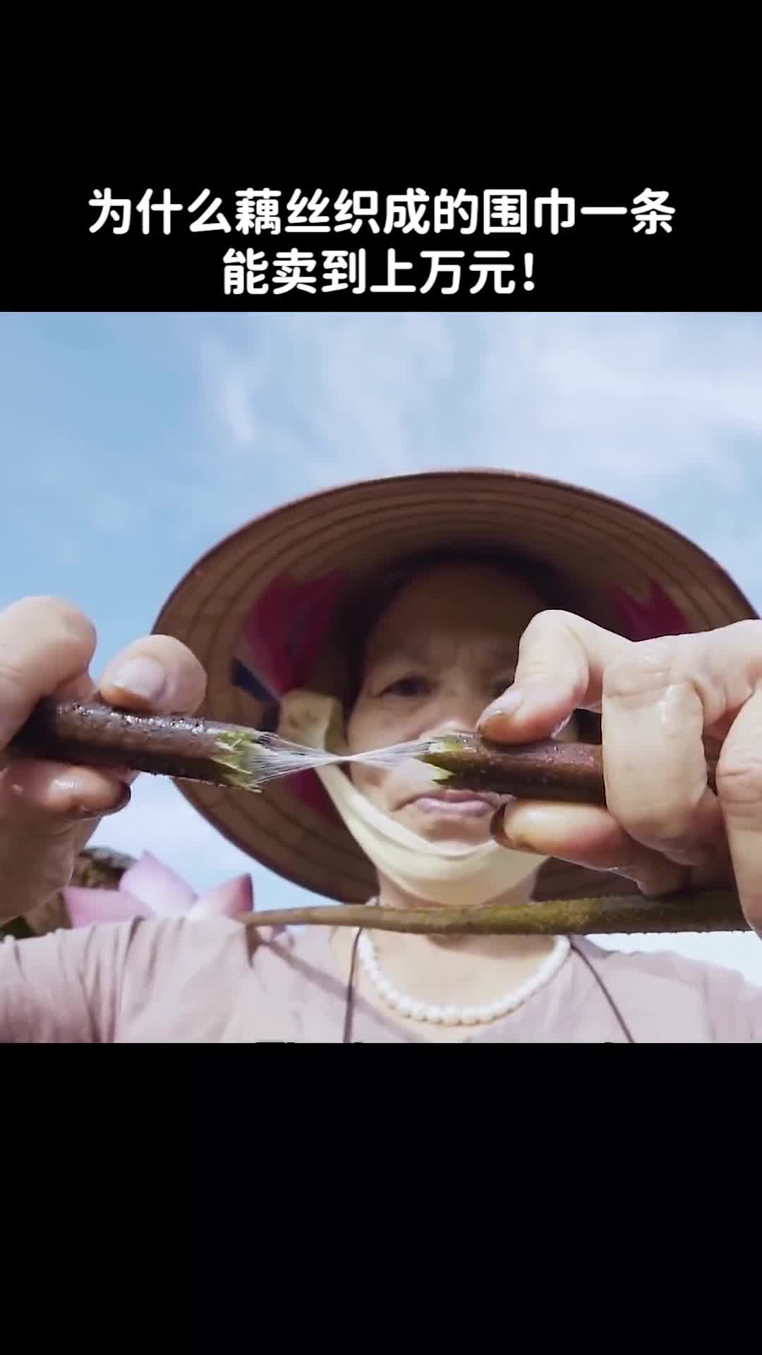 为什么藕丝织成的围巾一条能卖到上万元