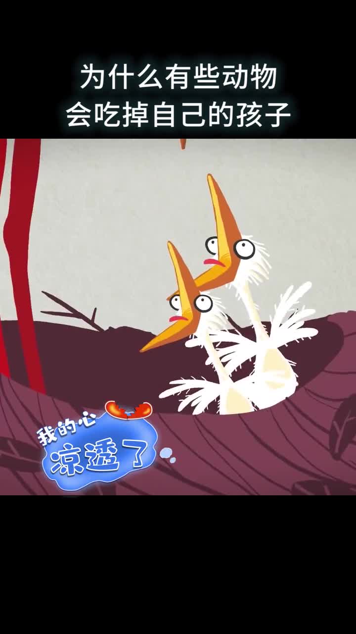 为什么有些动物会吃掉自己的孩子