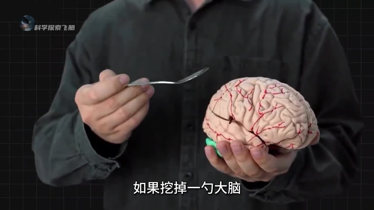 如果挖掉一勺大脑会发生什么