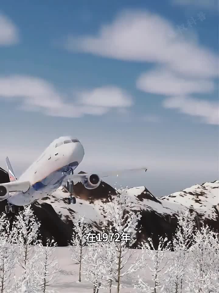 一架飞机空中发生爆炸安妮竟然奇迹生还