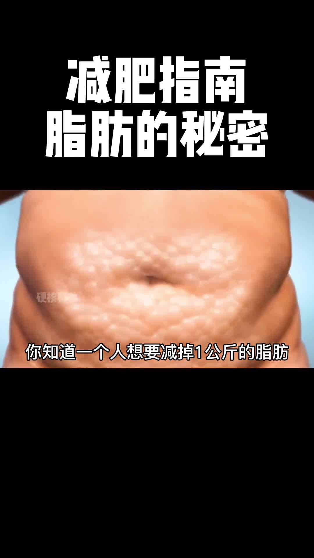 想要轻松高效减脂你就需要知道关于脂肪的秘密