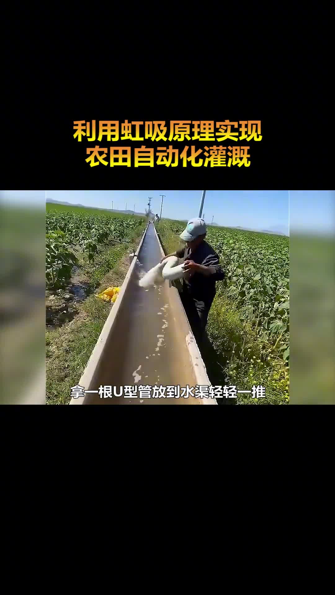 劳动人民有智慧一根U型管实现农田自动化灌溉