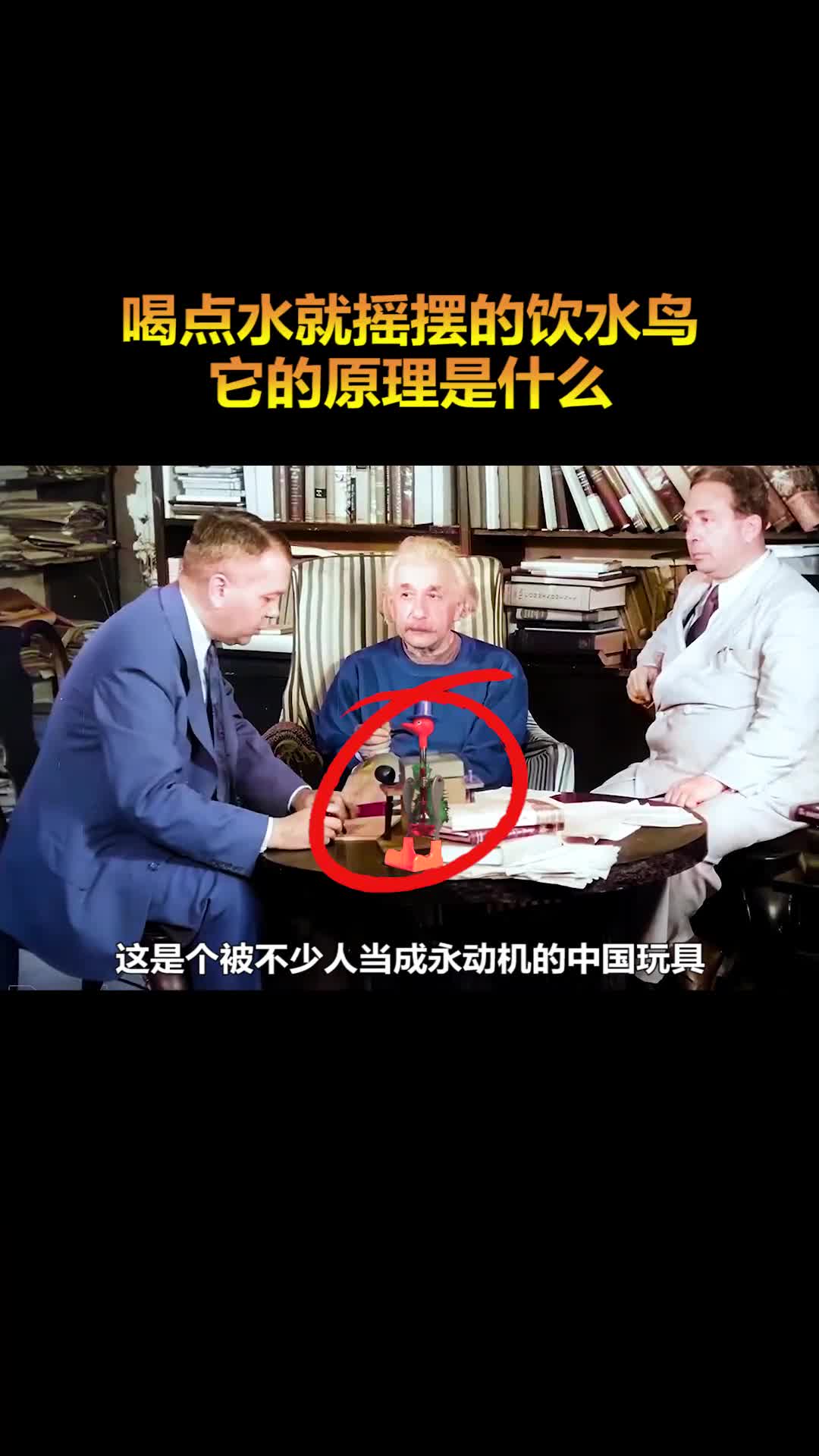 神奇的饮水鸟它的原理是什么