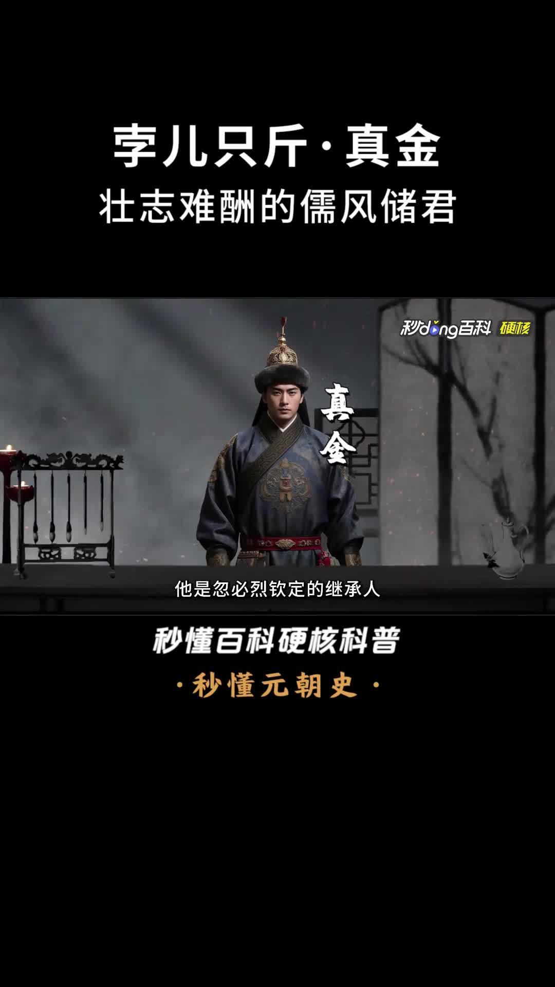 一口气看完孛儿只斤真金壮志难酬的儒风储君