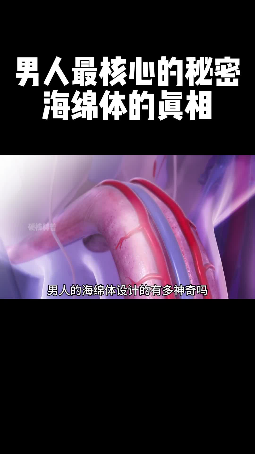 视频中说到的4级你的朋友是哪一级呢