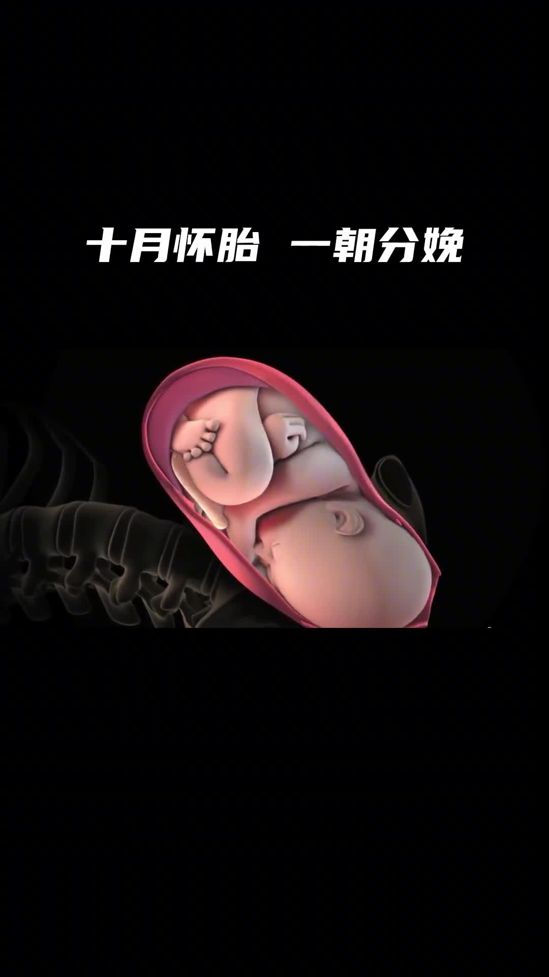十月怀胎一招分娩为母则刚