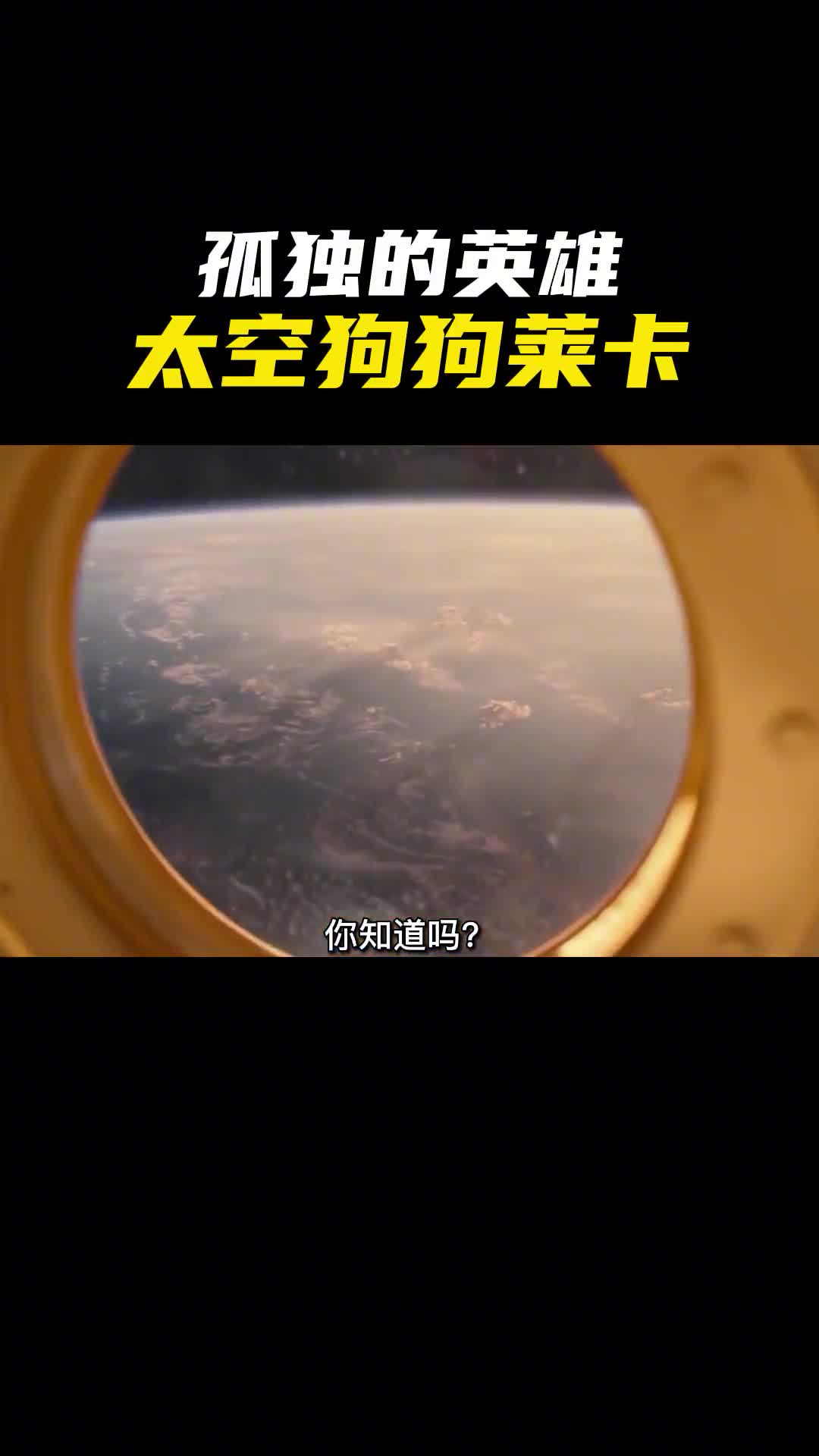 太空英雄狗狗莱卡的感人故事第一个进入太空的地球生物为人类航天事业奠定了坚实基础