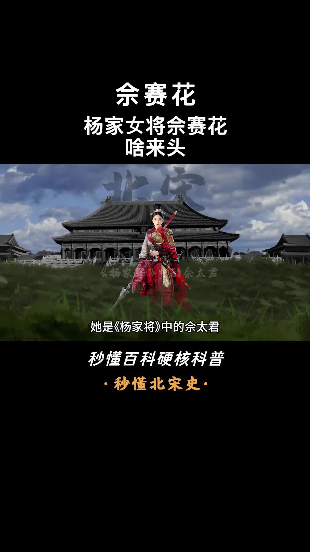 一口气看完佘赛花百岁挂帅震山河