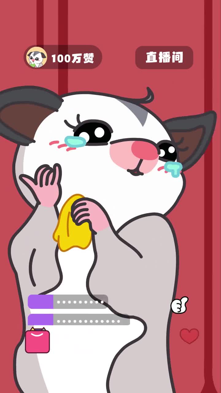 你家养的蜜袋鼯有多可爱