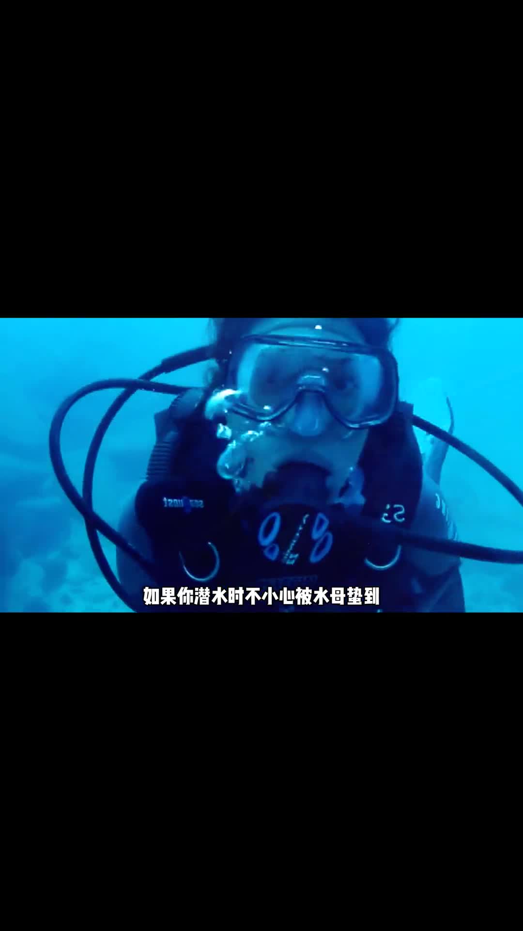 如果潜水时不小心被水母蛰到应该怎么办呢