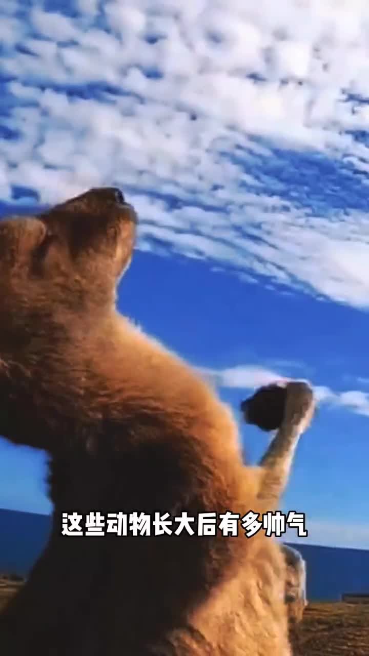 动物长大后有多帅气简直太不可思议
