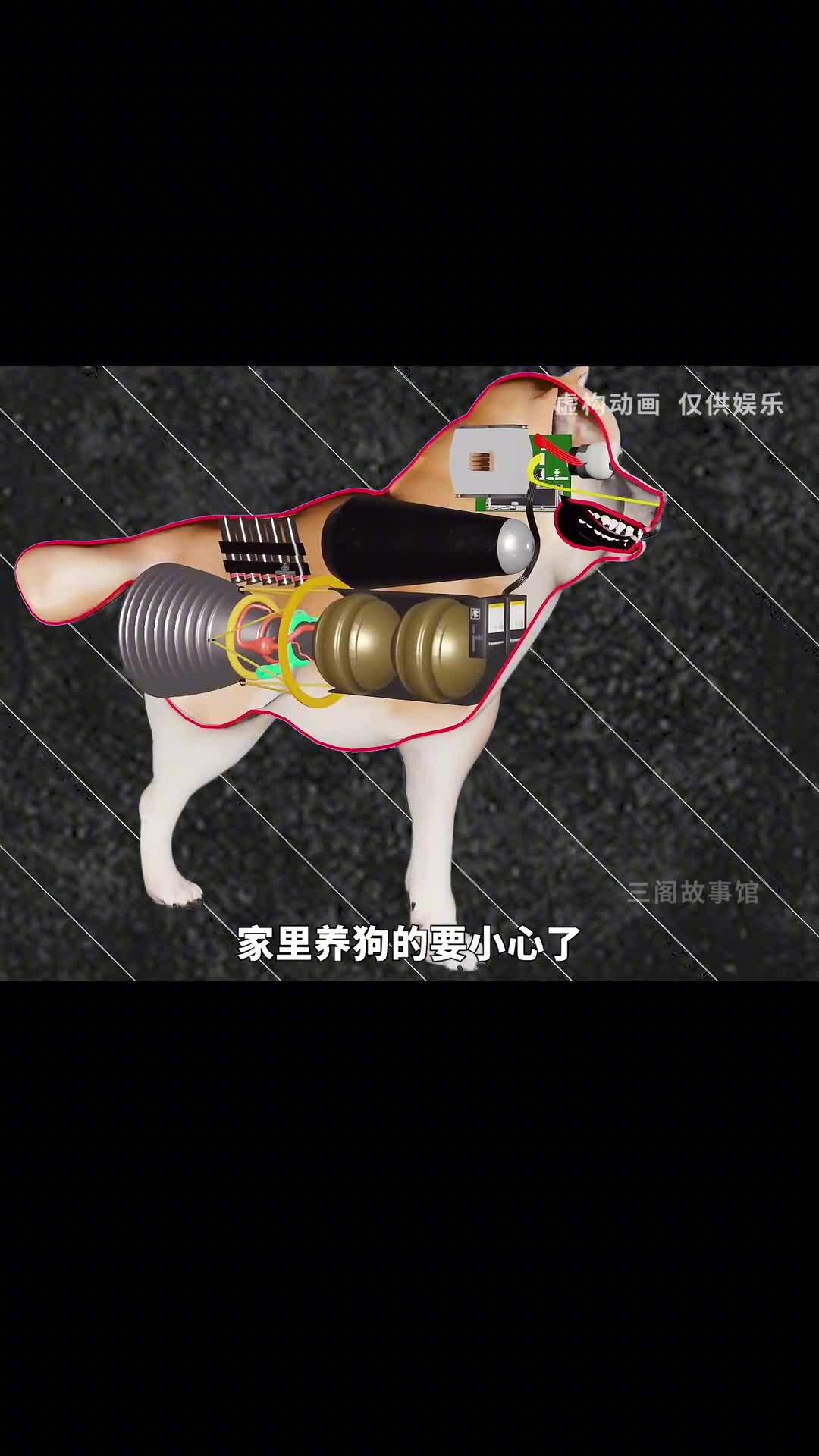 你家的狗狗可能是一只狗导弹哦