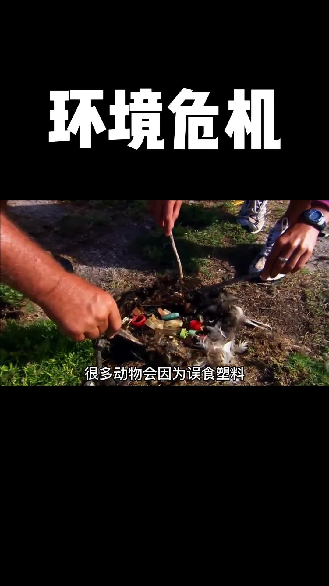 你在环保中一个小小的举动就会成为改变世界的力量