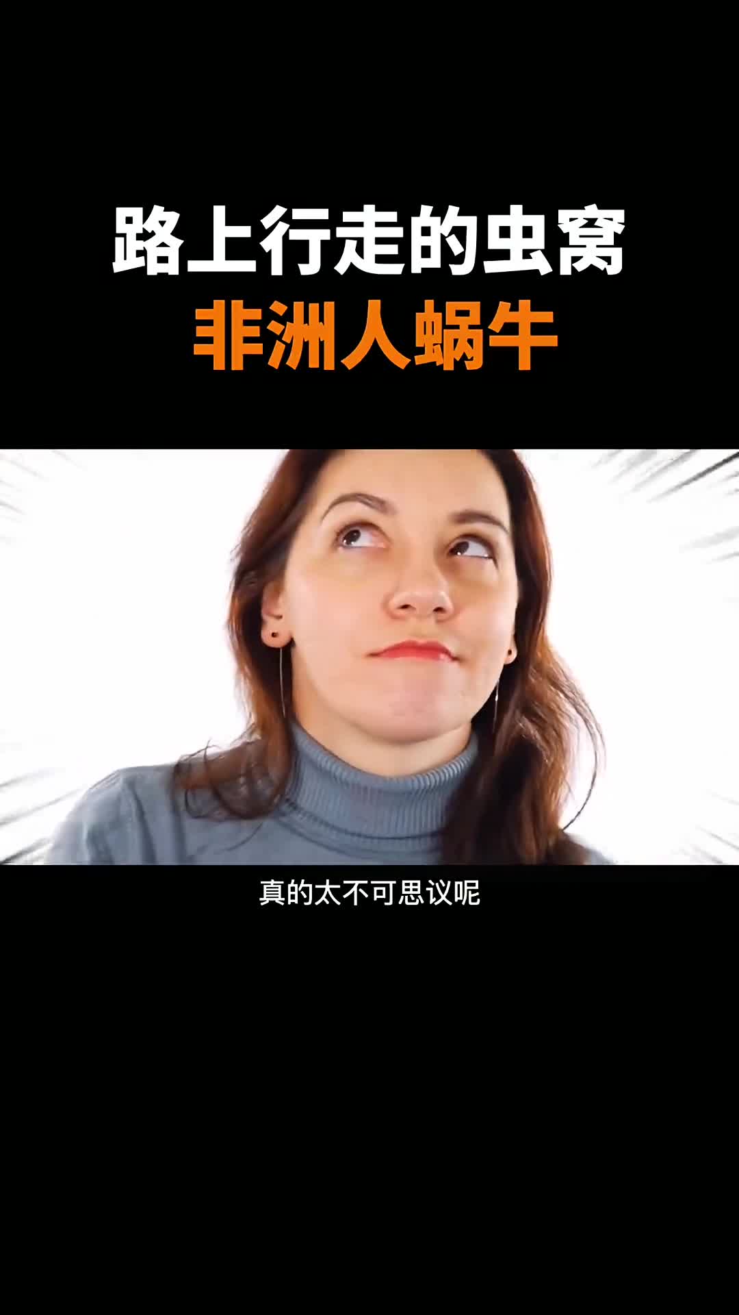 行走在路上的虫窝非洲大蜗牛