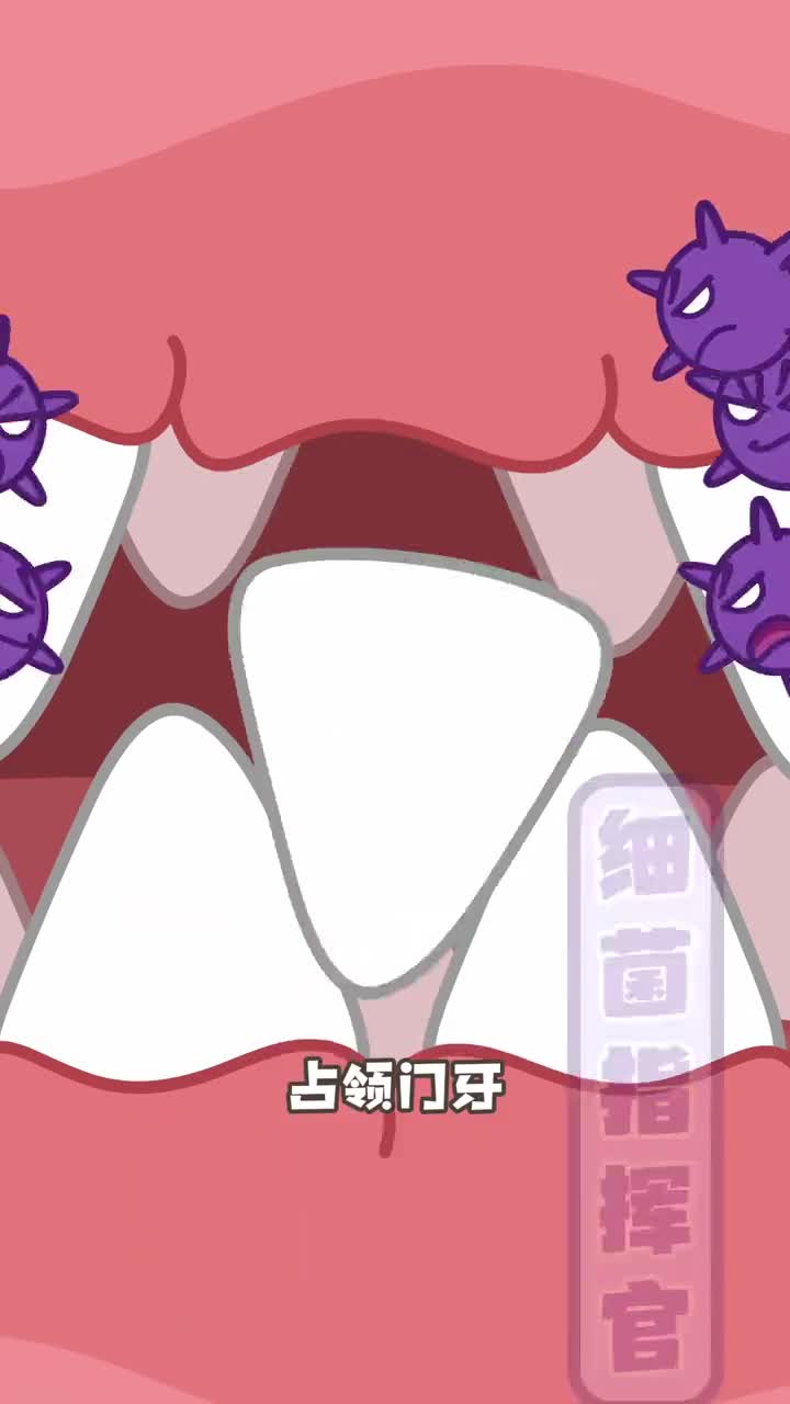 真好鲨鱼永远不用担心长智齿